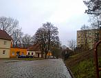 Borovina