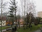 Borovina