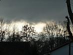 Třibřichy