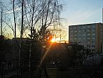 Borovina