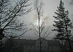 Borovina