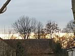 Třibřichy