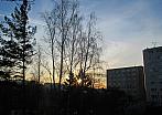 Borovina