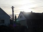 Třibřichy