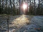 Třebechovice pod Orebem