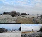 Borovina