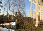 Borovina