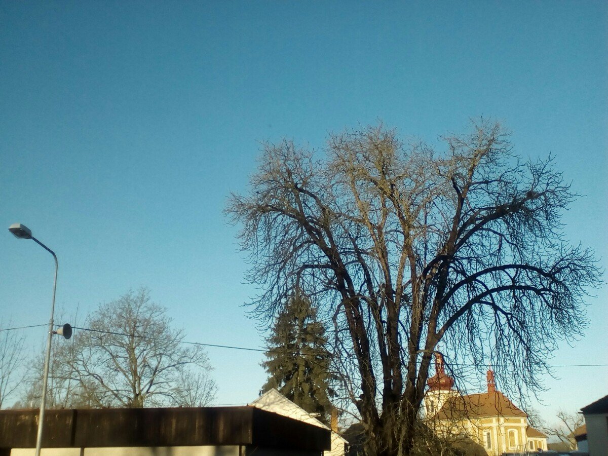 Mnichovo Hradiště