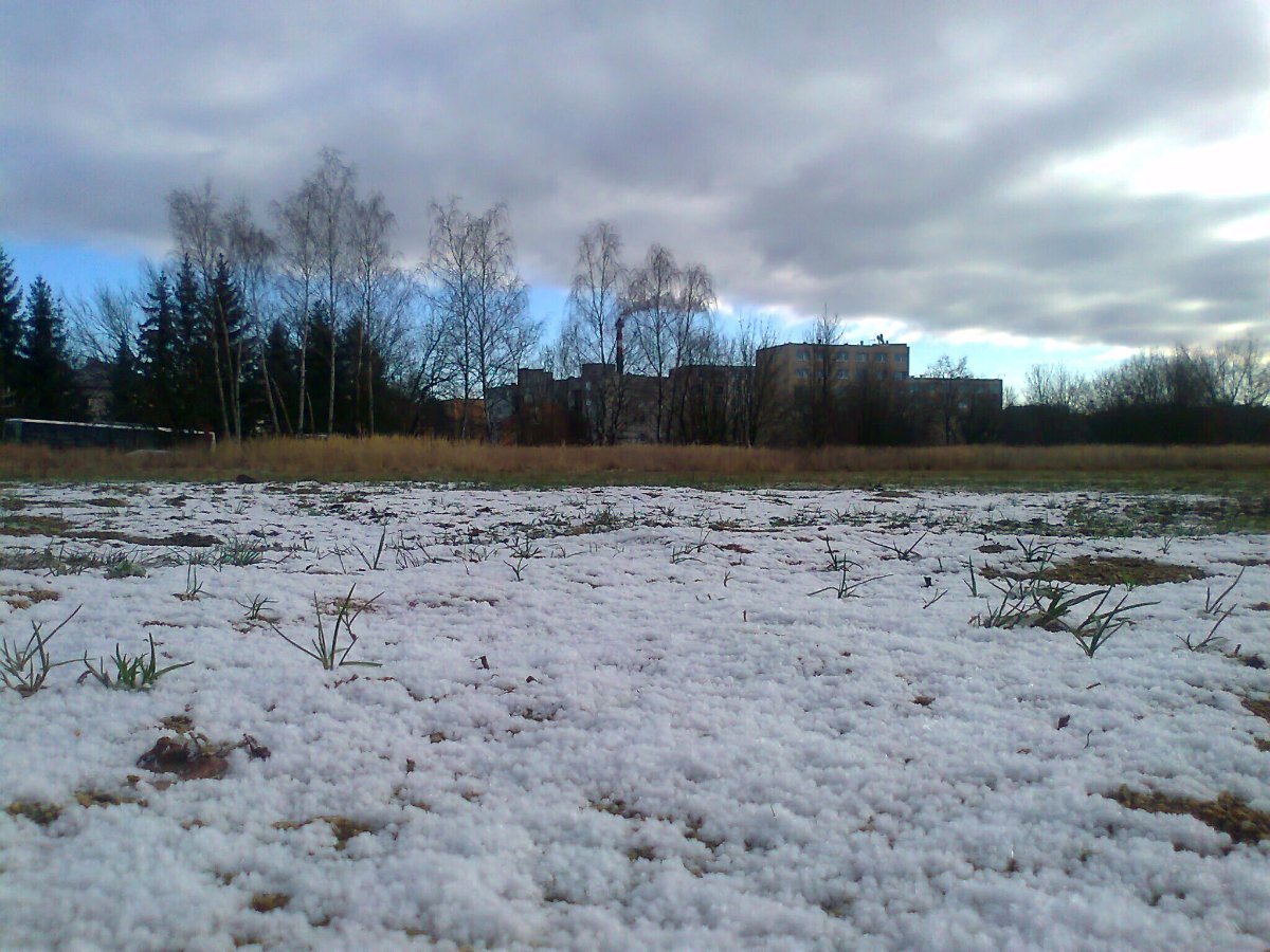 Borovina