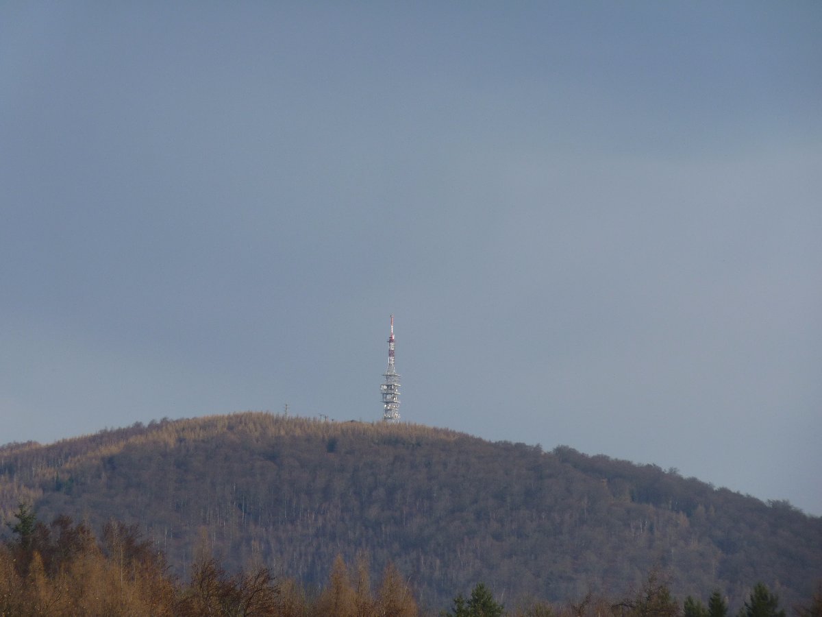 Boleboř