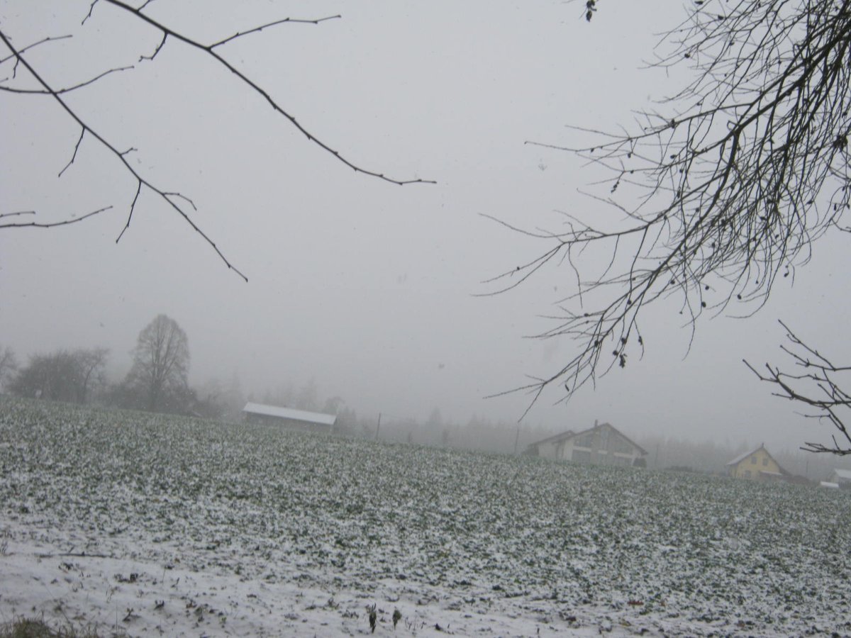 Němčice Zhoř