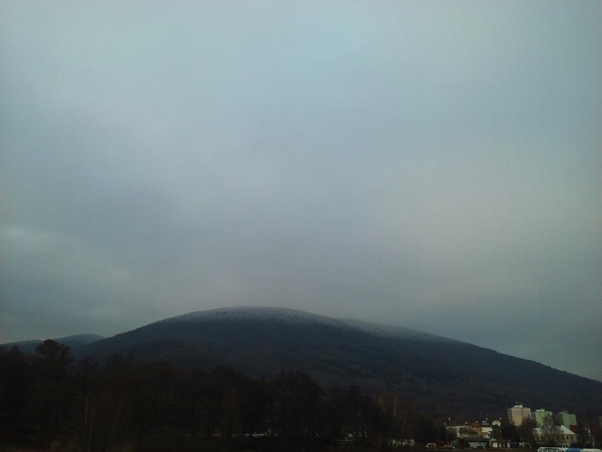Osek