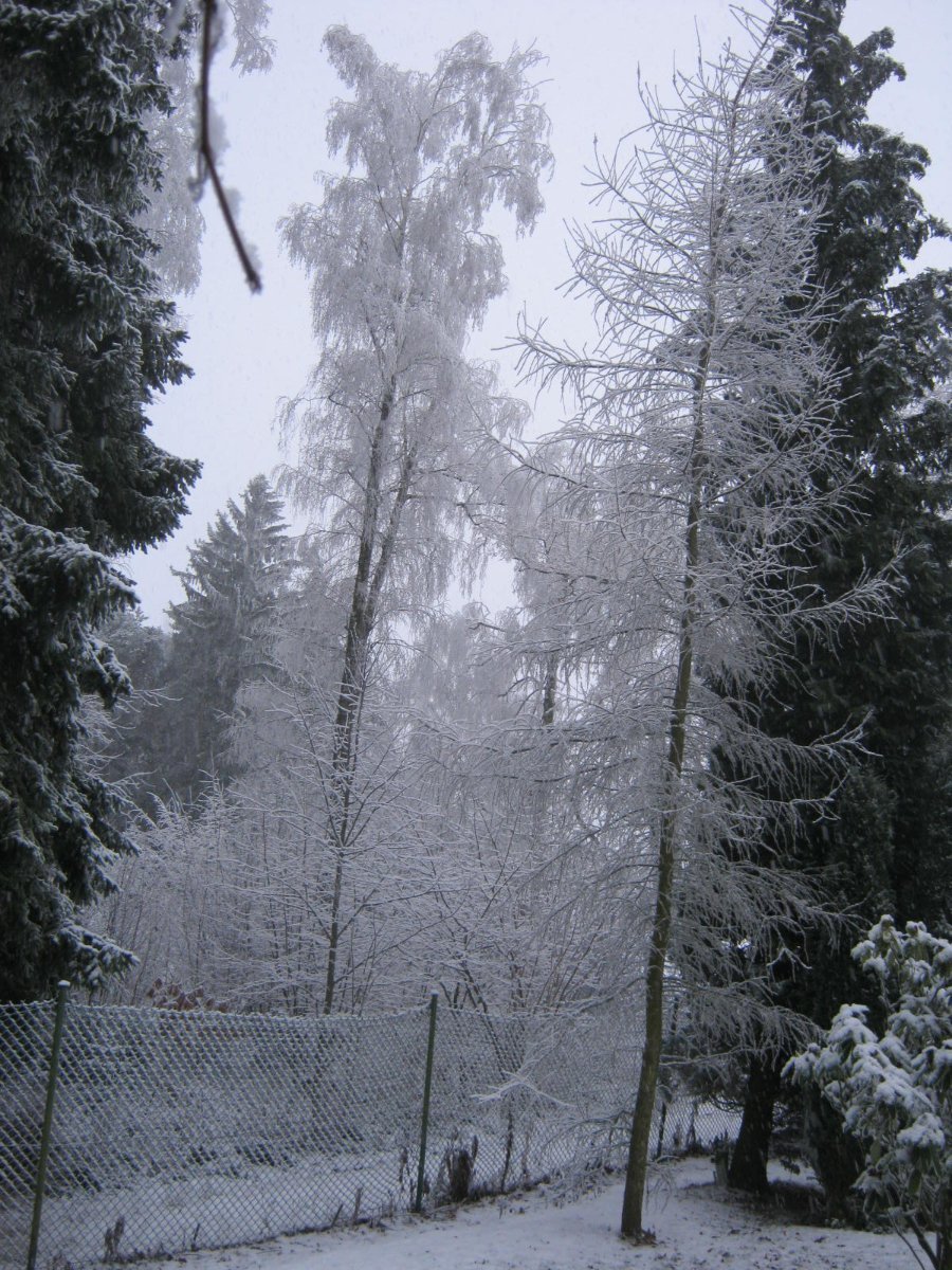 Němčice Zhoř