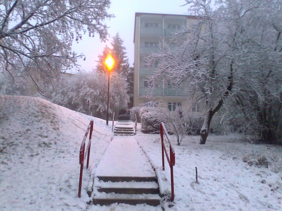 Borovina