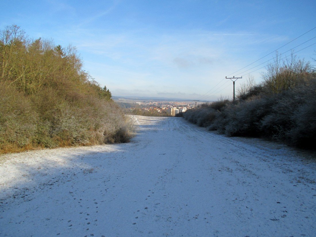 Borovina