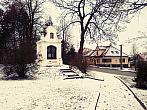 Borovina