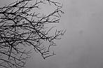Hradec Králové
