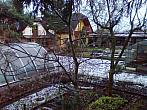 Borovina