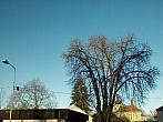 Mnichovo Hradiště