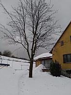 Skalité