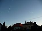 Třibřichy