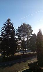 Varnsdorf