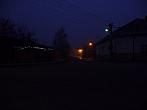 Třibřichy