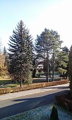 Varnsdorf