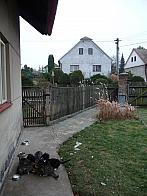 Třibřichy