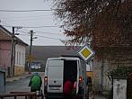 Třibřichy