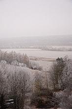 Vidov