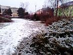 Borovina