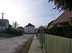 Třibřichy