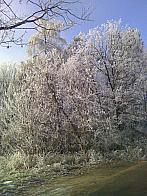 Kladno