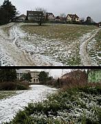 Borovina