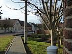 Třibřichy