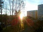 Borovina