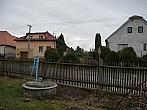 Třibřichy