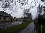 Třibřichy