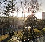 Borovina