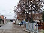 Třibřichy