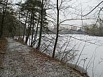 Borovina