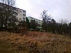 Borovina