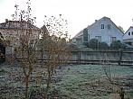 Třibřichy
