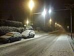 Borovina