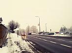 Borovina