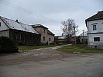 Třibřichy
