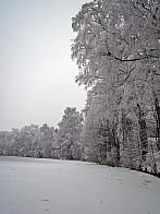 Nové Město na Moravě