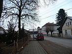 Třibřichy