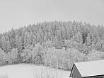 Zajíčkov